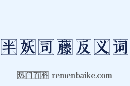 半妖司藤反义词是什么意思的图片